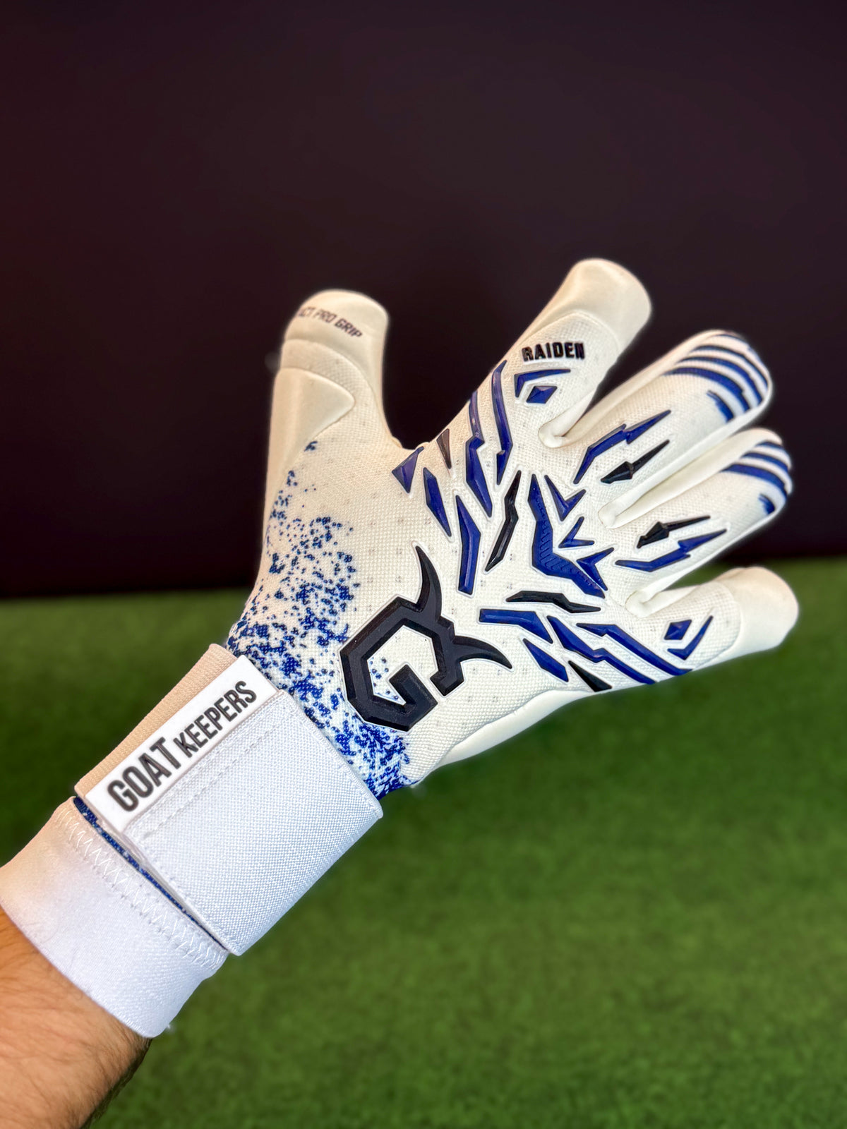 RAIDEN Pro Blue
