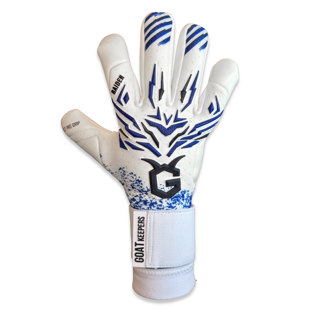 RAIDEN Pro Blue